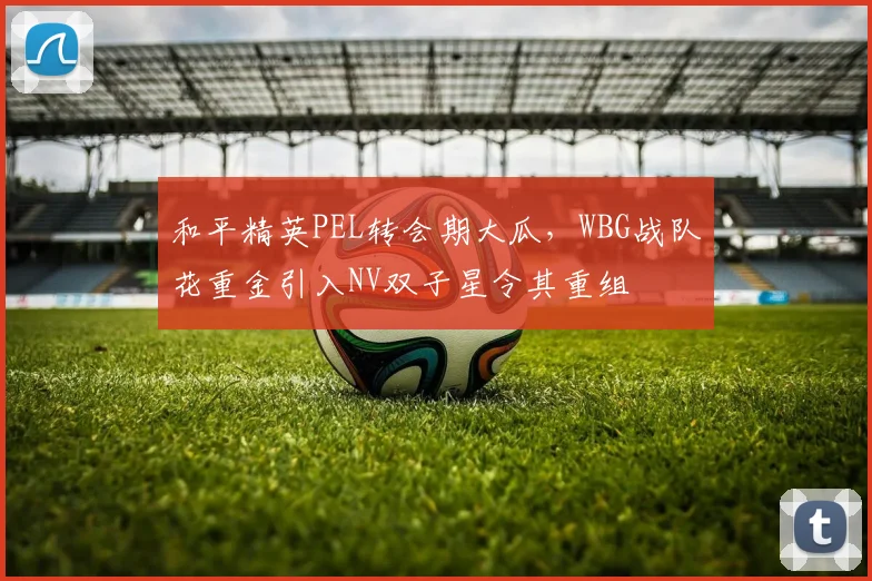 和平精英PEL转会期大瓜，WBG战队花重金引入NV双子星令其重组
